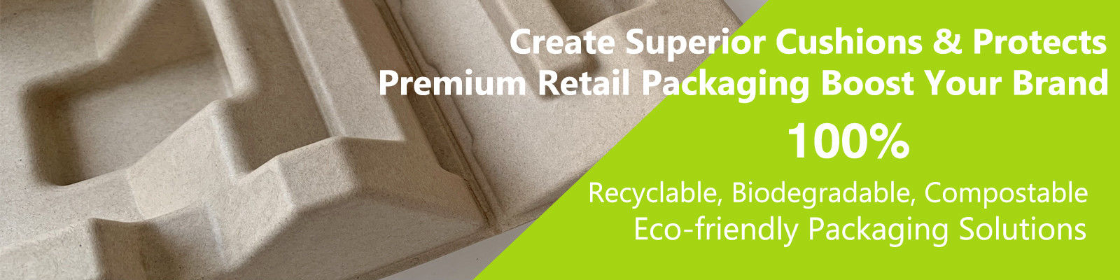 Quality Molded Pulp Packaging & Molded Pulp Box factory from China