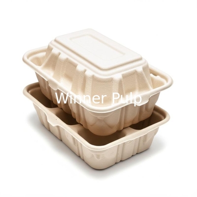 Foldable Molded Pulp Clamshell Packaging for Tobacco Products