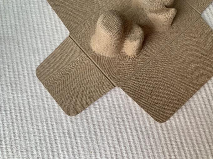 Molded Pulp Custom Sustainable Packaging Recyclable OCC Thermoformed ...